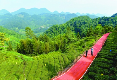 綠色是理念，更是行動(dòng)