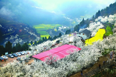 綠色是理念，更是行動(dòng)