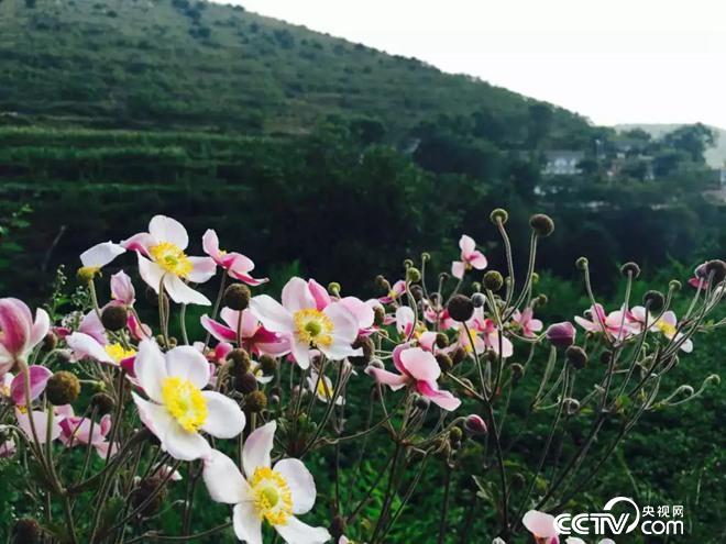 一起見證中國脫貧奇跡 共同實現(xiàn)鄉(xiāng)村振興