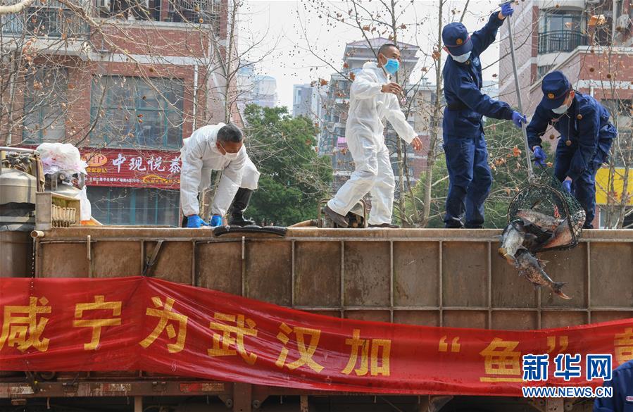 （新華全媒頭條·圖文互動）（12）從人民中汲取磅礴力量——習(xí)近平總書記同出席2020年全國兩會人大代表、政協(xié)委員共商國是紀(jì)實(shí)