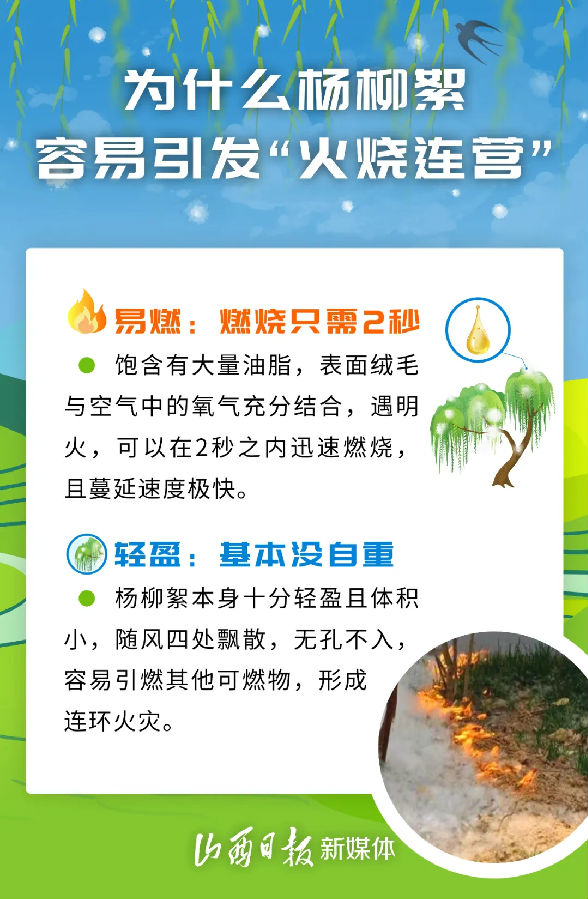 640.webp (8).jpg