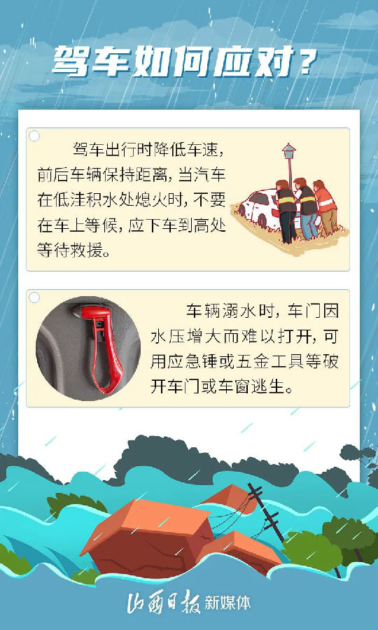 7ad7d775-58f5-48b2-a8cb-274c48cbef1c_l.jpg