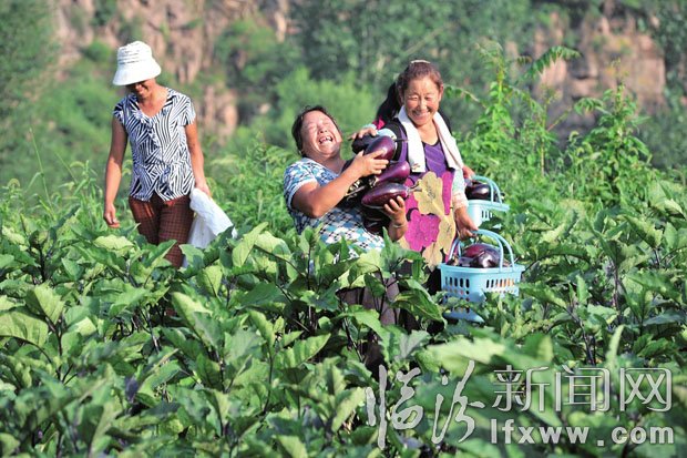 收入增加了，農(nóng)民臉上露出了笑容。 