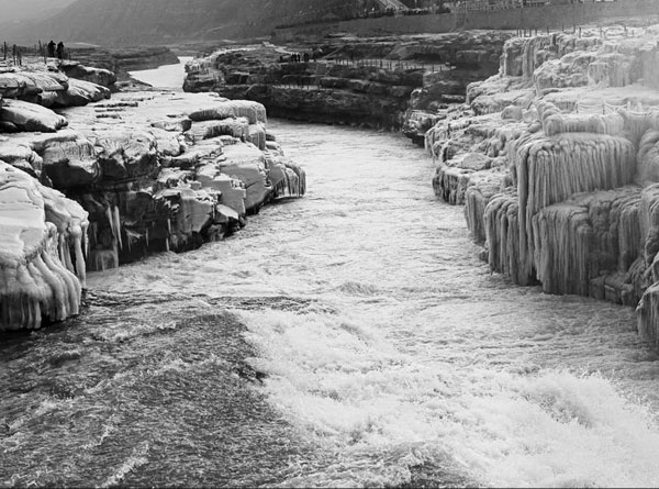 銀色壺口（5張）