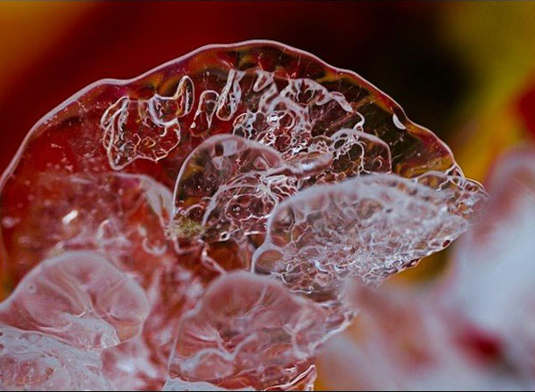 七里峪美麗的冰凌花（9張）