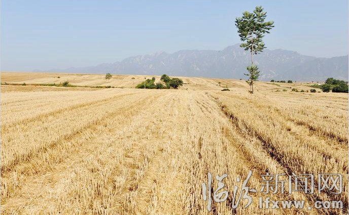 晉國博物館（13張）