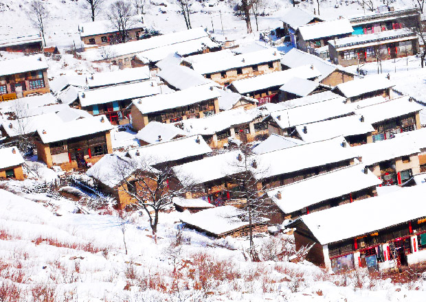 鄉(xiāng)間雪景美如畫(huà)（3張） 