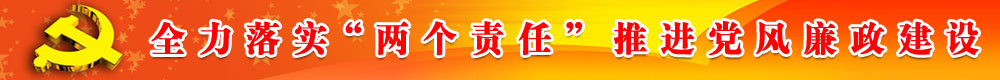 全力落實(shí)兩個(gè)責(zé)任推進(jìn)黨風(fēng)廉政建設(shè)