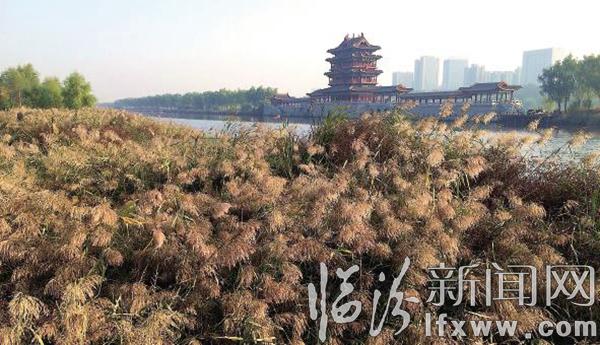 臨汾:汾河秋日美