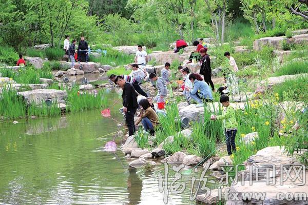 隨意踐踏草坪捕撈魚蝦 臨汾澇洰河公園“傷痕累累”
