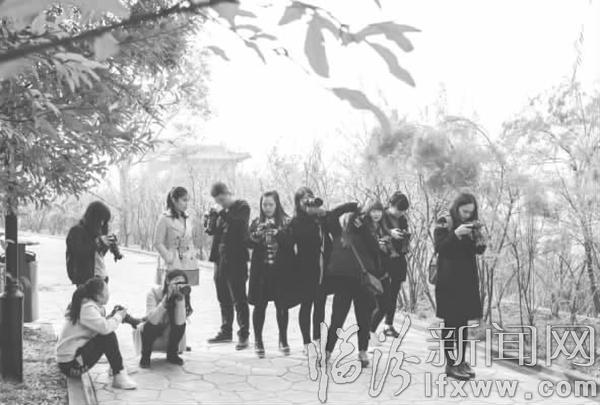 臨汾:攝影愛好者群聚公園話繽紛